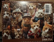 Puzzle koty. 1000 elementów. 50 x 70 cm