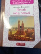 Historia Żółtej Ciżemki 