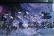 Sternguard veteran squad METAL 10x
