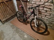 Rower DBS intruder x4