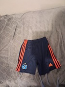 Spodenki Hamburger SV M