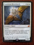 Luminous Broodmoth
