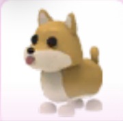 Shiba Inu - Adopt Me Roblox