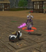 Akademia Tamidia2 - WOJ BODY 78 LVL TRUTA AURA P