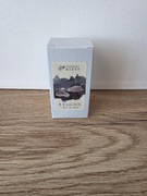 Atrament Ink Institute Cat at Dusk