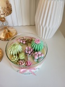 Świece sojowe kaktusy w pojemniku. Idealny prezent na wszystkie okazje.