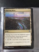 Thriving Moor