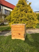Piękna drewniana donica