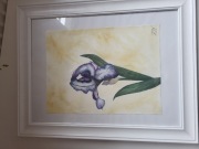 Obraz w oprawie, ręcznie malowany irys 