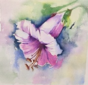 Akwarela 21x21 - "Kobea"