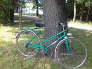 Rower damski Prl Universal zielony