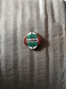 Radomiak Radom unikat przypinka pin znaczek odznaka pamiątkowa 