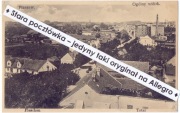 PLESZEW PLESCHEN Panorama miasta dworzec kolejowy młyn parowy wiatrak ~1914