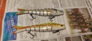 Woblery crankbait swim