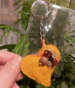 2 lupy wielkości karty kredytowej i brelok żółto-pomarańczowy