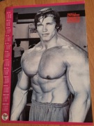 Plakat Arnold Schwarzenegger 