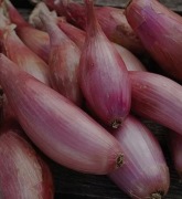 Cebula szalotka Bio, Eko 1kg 