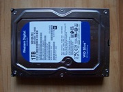 Dysk 3,5" WD10EZEX 1TB  SATA