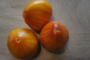 Pomidor Orange Rusjan- sadzonka