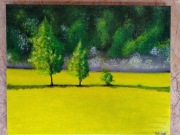 Obraz ręcznie malowany na płótnie - akryl 40x50 cm.