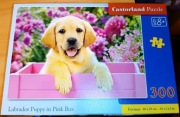 Puzzle Castorland 300 elementów Szczeniak labradora