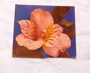 Pocztówka dźwiękowa Hellen Reddy - Angie Baby. KAW, 1976 r. 