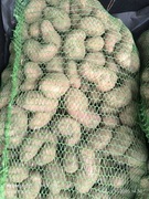 Ziemniak prosto od rolnika, ekologiczny, odmiana Oberon 25kg