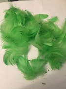 Piórka dekoracyjne zielone 50g