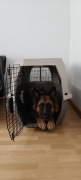 Transporter Kenel Klatka do transportu psa duża (X)L, jak nowy - TIAKI