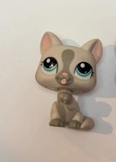 Littlest pet shop kot katurski 