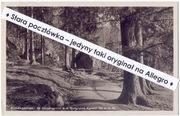 ZAMEK CHOJNIK - BURG KYNAST k. Jelenia Góra Hirschberg widok na grotę 1928