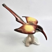 Ptak Miodojad Klary Garbera Aquincum Budapeszt lata 60te