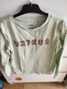 Bluzka chłopięca z długim rękawem Dzikus r. 128