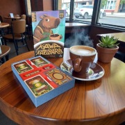 Insert do gry Kawa z Kapibarą