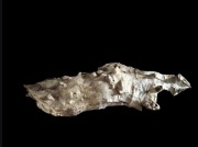 Korzeń do terrarium 80 cm