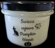 Swieca sojowa Naturalna