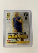 Fabio Cannvaro FIFA world cup FIFA 365 Panini