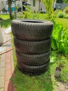 Komplet opon zimowych Dayton 205/55R/16