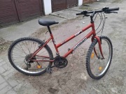 rower górski Carrier BX300, damka