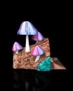 Leśna Podpórka do Książek Grzyby na Pniu