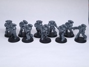 SM Intercessor Squad 10x (Indomitus Box)