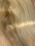 Włosy tonowane z dziewiczych kucyk bez przerobienia 