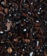 Specjalne lekkie podłoże, ziemia, bigos do roslin