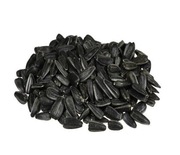 Słonecznik paszowy suchy  Ptakom Gryzoń Wysyłka