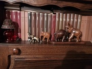 Literatura świadków roczniki strażnice przebudźcie inne