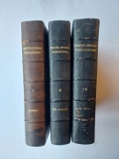 Encyklopedia powszechna Ultima Thule t. 1,3,9