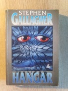 HANGAR Stephen Gallagher (20)