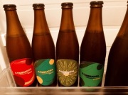 Kombucza 500ml - kawa, yerba, melisa, gotu kola