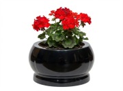 Misa nagrobkowa z granitu kolor CZARNY SZWED średnica 30 cm