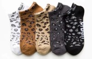 5 par skarpetki w panterkę modne wygodne lekkie 32-38
